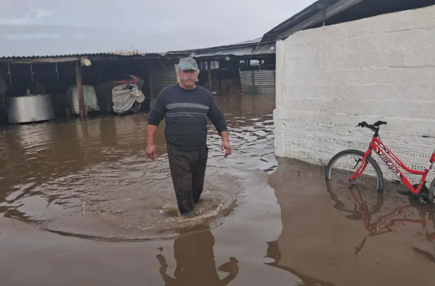  Πλημμύρισαν στάβλοι και αποθήκες στον Πύργο
