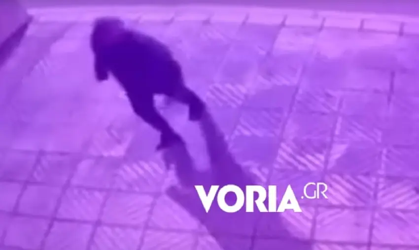  Θεσσαλονίκη: Βίντεο από την επεισοδιακή ληστεία σε κάβα- Εγκλωβίστηκε σε φρεάτιο ασανσέρ (vid)