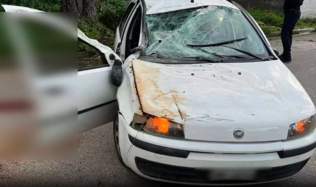 loutsa troxaio 15xronos