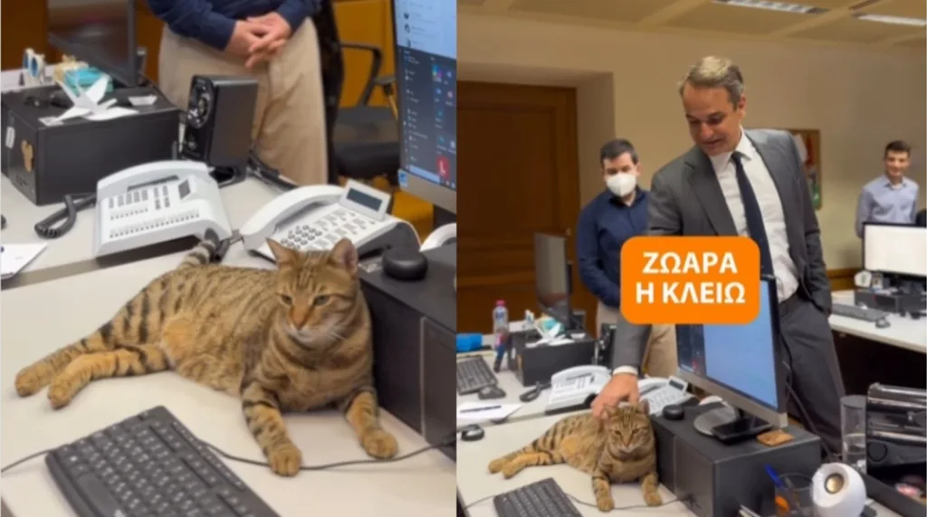 maximou mitsotakis gata kleio