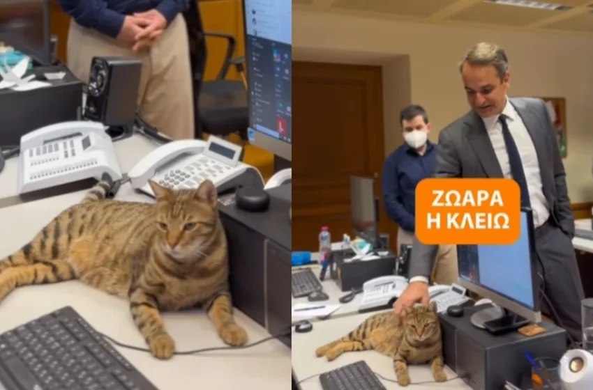  Μητσοτάκης: Η νέα γάτα του Μαξίμου – “Στο βασίλειο της Κλειούς δεν έχει θέση ο Peanut”