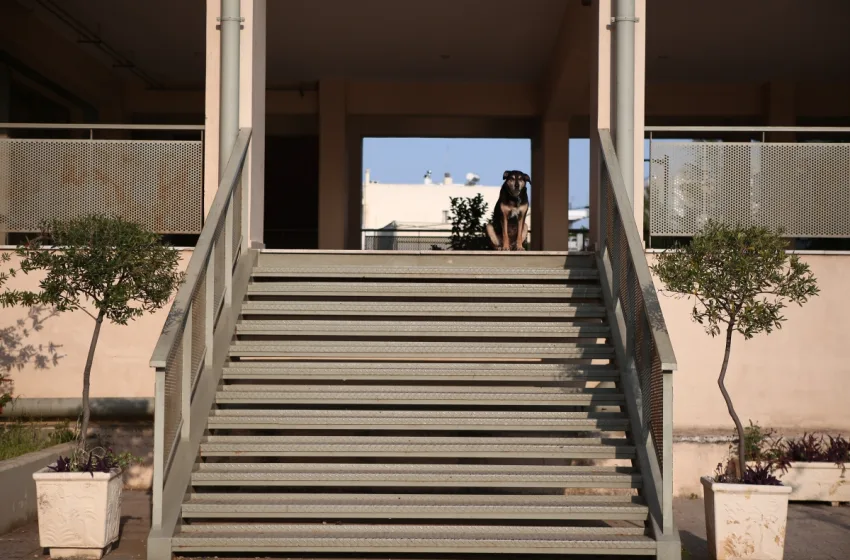  Εθνικό Απολυτήριο: Τι ισχύει στην Ευρώπη, ποιο μοντέλο επιχειρεί να υιοθετήσει η Ελλάδα-Baccalauréat ή Abitur;