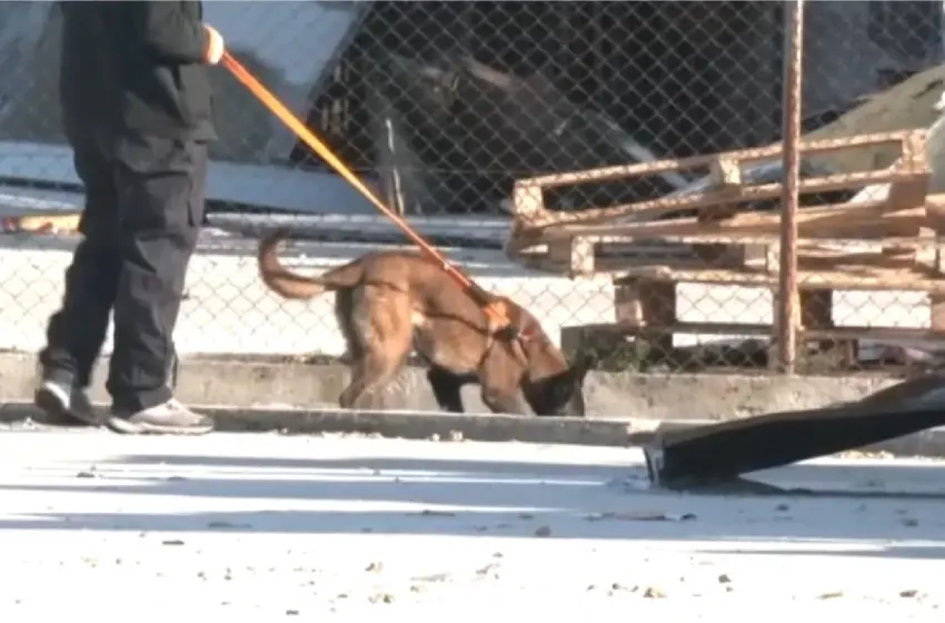  Βιολάντα: Τι βρήκαν οι  σκύλοι–ανιχνευτές  στα αποκαϊδια του μοιραίου εργοστασίου