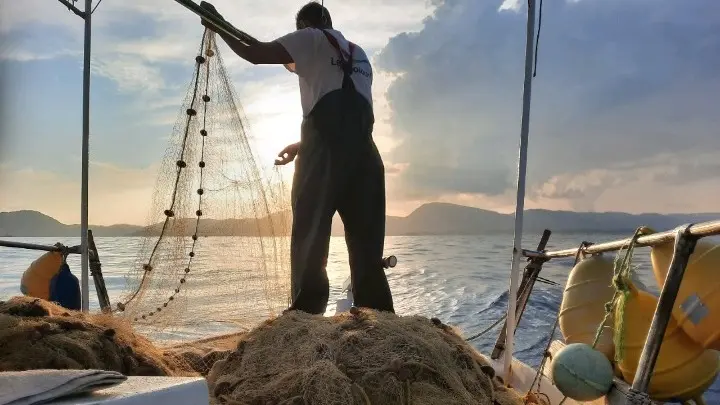 w26 1036551000129344