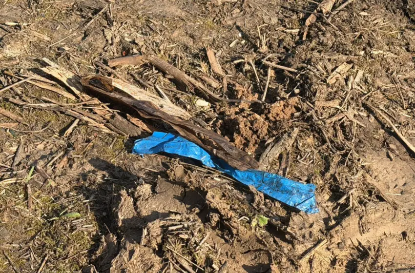  Χαλκιδική: Ολοκληρώθηκε η ιατροδικαστική εξέταση- Αγνώστου φύλου και ηλικίας η σορός