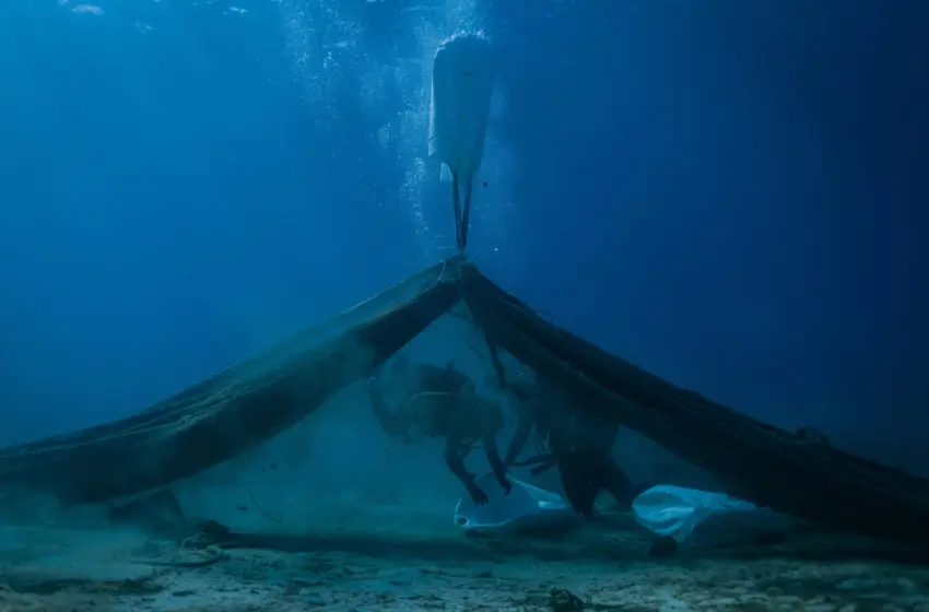  Green Plasma: Δίχτυα-φαντάσματα παράγουν ενέργεια