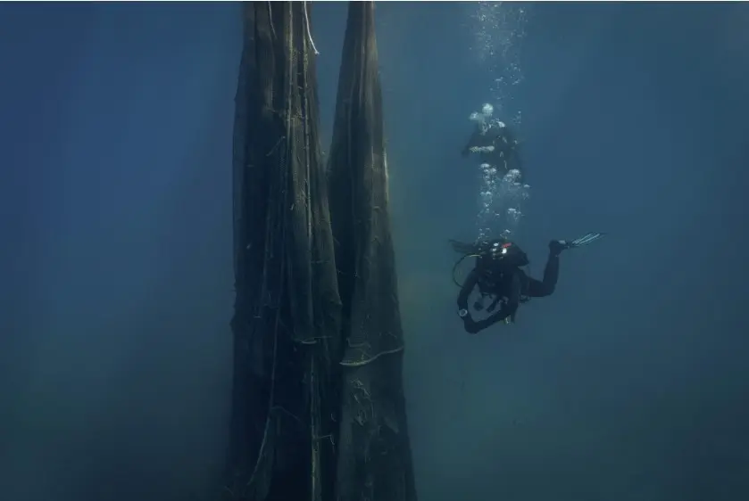 Green Plasma: Δίχτυα-φαντάσματα παράγουν ενέργεια 5 3 3