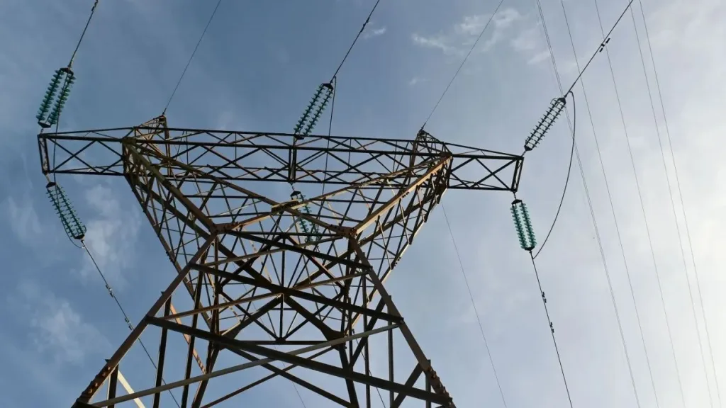 8115d36b kalwdia dei 71