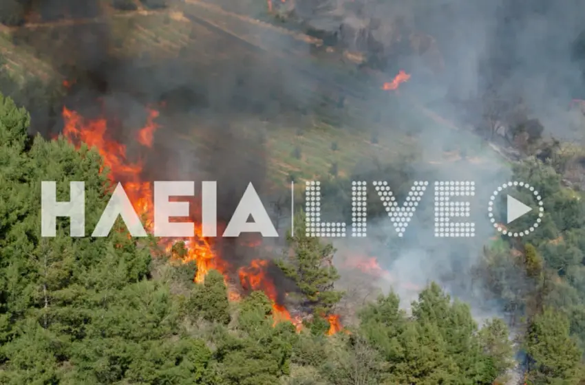  Φωτιά στην Ηλεία: Διπλό μέτωπο  στον Ελαιώνα