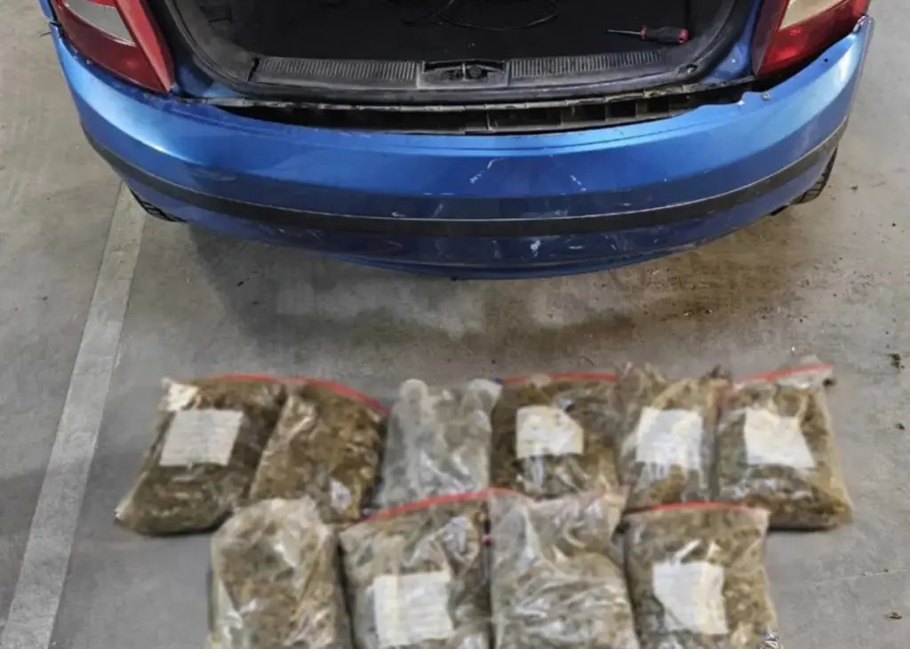 kannavi profylaktiras1