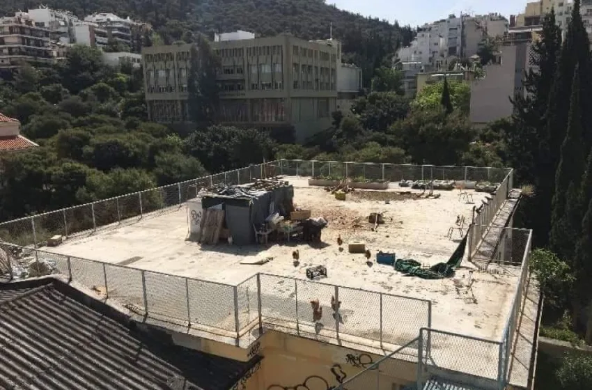  Απίστευτη καταγγελία στο Δήμο Αθηναίων: Κότες και κατσίκες σε ταράτσα στους Αμπελόκηπους