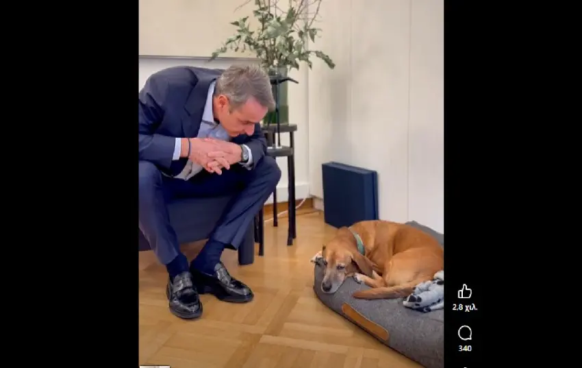  Μητσοτάκης με τον Πίνατ,υποδέχθηκαν τους Έλληνες επαναπατρισθέντες με τα ζωάκια τους (vid)