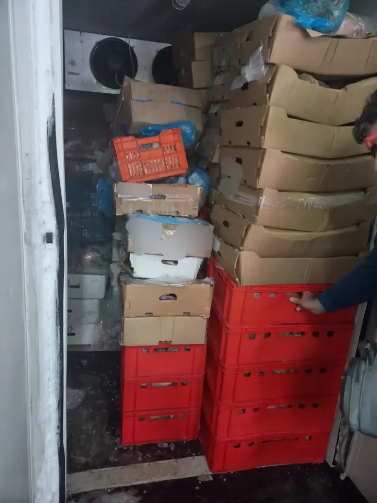 sapiokreasperifattikis 2.jpg