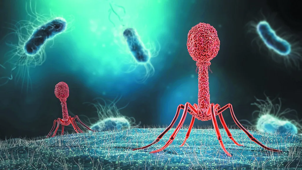 shutterstock 2036608064