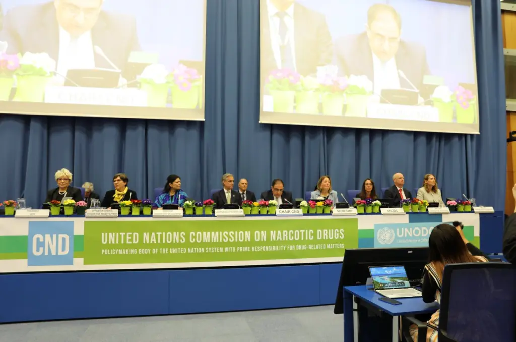 sinodos narotia ipa kina