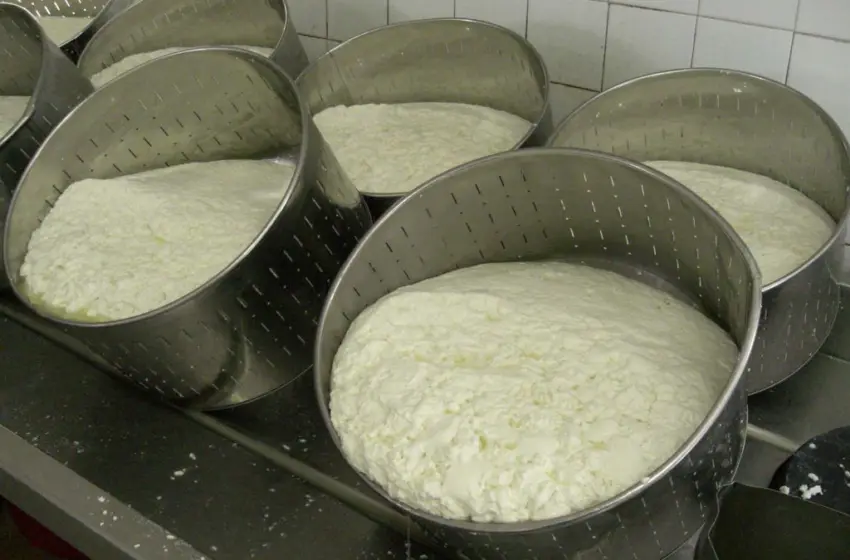  Κλείνουν όλα τα τυροκομεία της Λέσβου-Σταματά η παραγωγή 