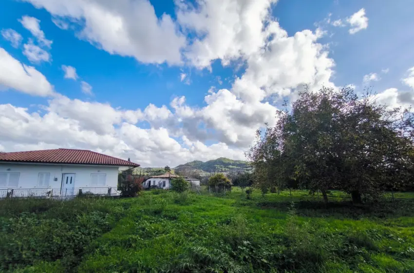  Ο φετινός χειμώνας είναι ο δεύτερος θερμότερος στην Ελλάδα από το 1960