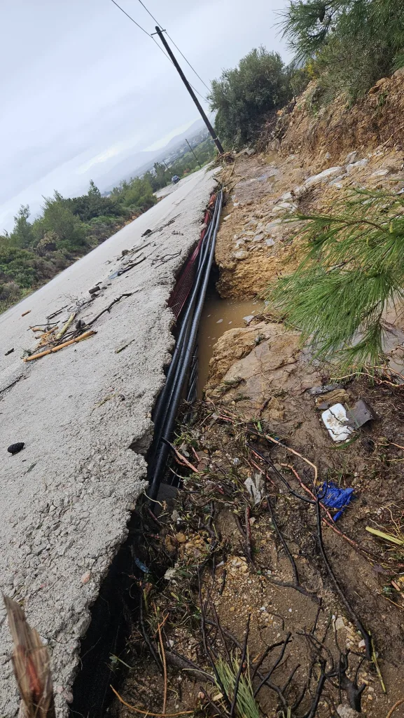 660425863 10215276350537379 4615779451323435716 n