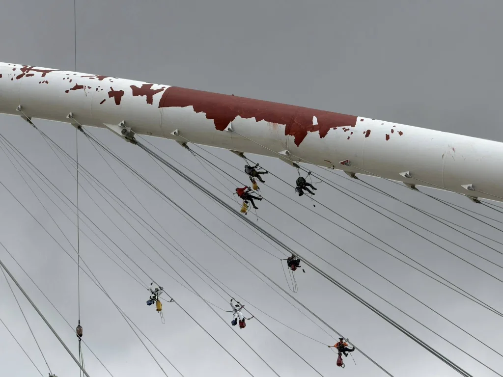 662843953 4286031481653334 1880545817932013009 n