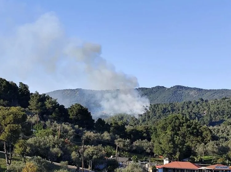  Υπό έλεγχο η φωτιά στο πευκοδάσος της Σκιάθου