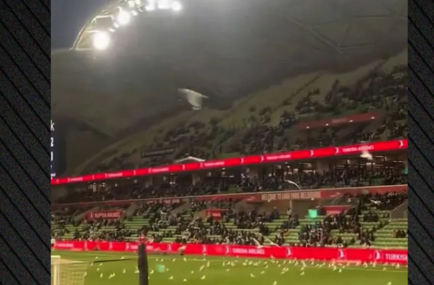  Αυστραλία: Γλάροι εισέβαλαν σε αγωνιστικό χώρο και διέκοψαν ποδοσφαιρικό αγώνα- Εντυπωσιακές εικόνες