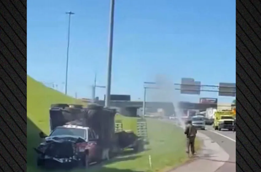  Τένεσι: Ανετράπη φορτηγό με 1 εκατομμύριο μέλισσες (vid)