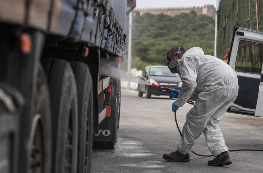  Ρεπορτάζ libre-Αφθώδης πυρετός: Ισχυρό πλήγμα στην οικονομία της Λέσβου-Πώς μεταδίδεται, γιατί διαμαρτύρονται οι κτηνοτρόφοι