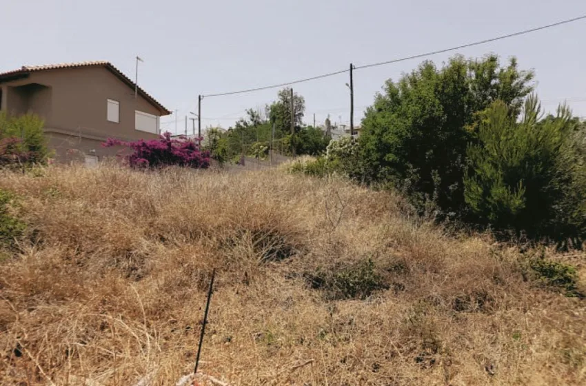 akatharista oikopeda 850x560 1 1