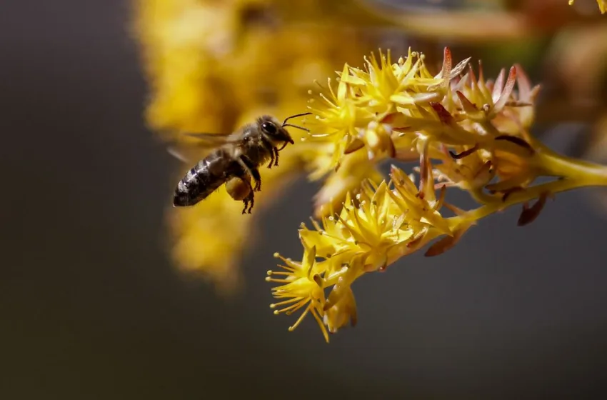  Καιρός για… αλλεργίες-Η μάστιγα της εποχής και τρόποι αντιμετώπισης