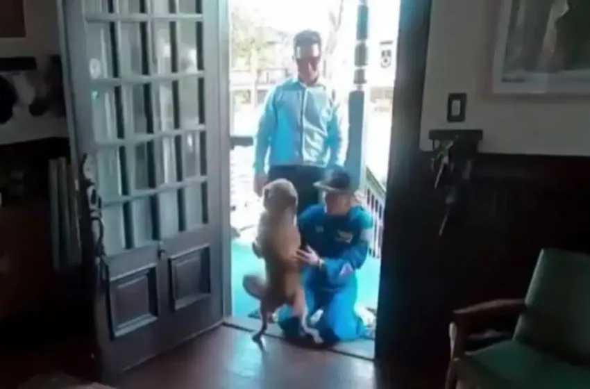  Artemis II: Viral το βίντεο επανένωσης με την αστροναύτη και το σκυλάκι της 