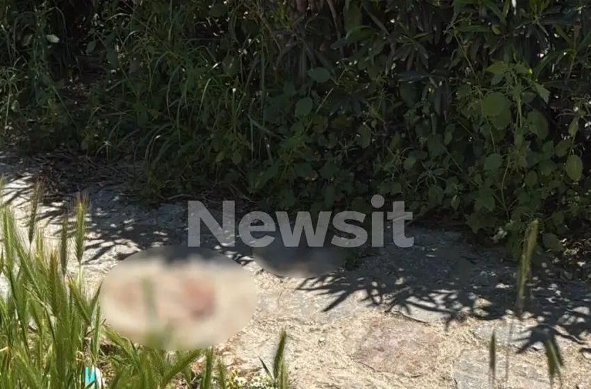  Φιλοπάππου: Για μια παρατήρηση ο άγριος ξυλοδαρμός των δύο ανδρών – “Δεν πρόλαβα καν να τον δω”