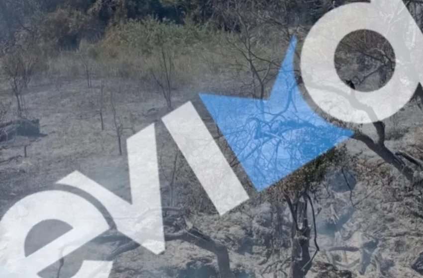  Εύβοια: Χειροπέδες σε 56χρονο που προκάλεσε φωτιά από κάψιμο κλαδιών