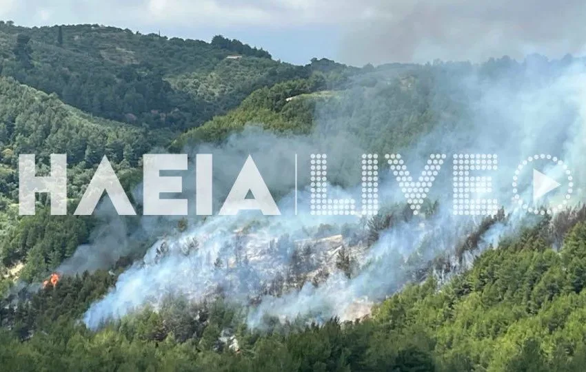  Καλύτερη η εικόνα της φωτιάς στο Λέπρεο Ηλείας- Σηκώθηκε και αεροσκάφος