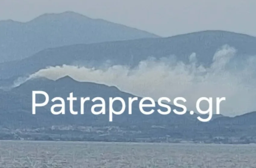  Φωτιά στο Αίγιο, μεγάλη κινητοποίηση της Πυροσβεστικής