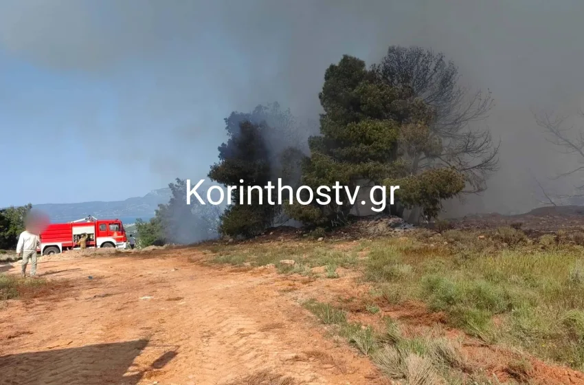  Φωτιά στο Ζευγολατιό- Συναγερμός στην Πυροσβεστική