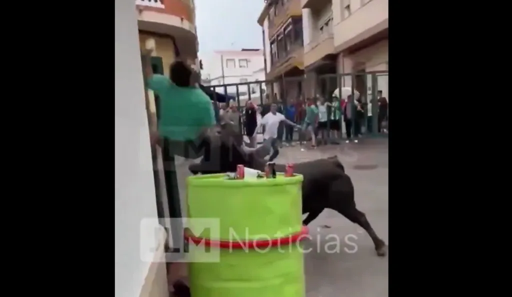 ispania tavros video 33xronos