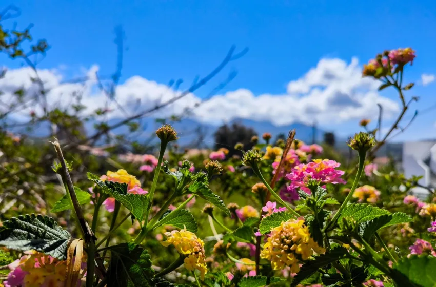  Πού θα βρέξει σήμερα Μ. Σάββατο – Άνοδος θερμοκρασίας και ηλιοφάνεια την Κυριακή του Πάσχα