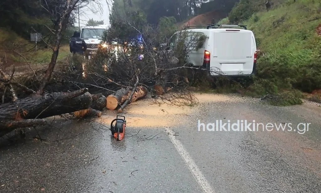 kakokairia xalkidiki