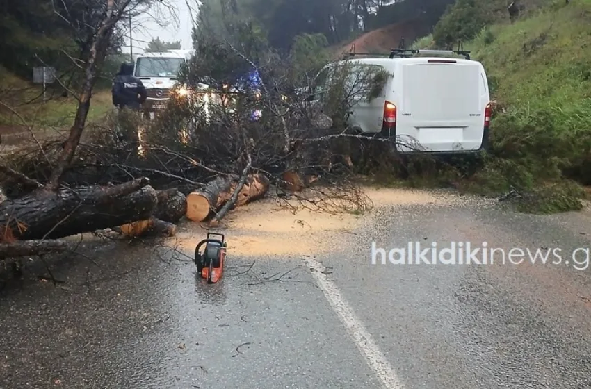  Κακοκαιρία/Χαλκιδική: Κατολισθήσεις, διακοπή κυκλοφορίας και τροχαία ατυχήματα