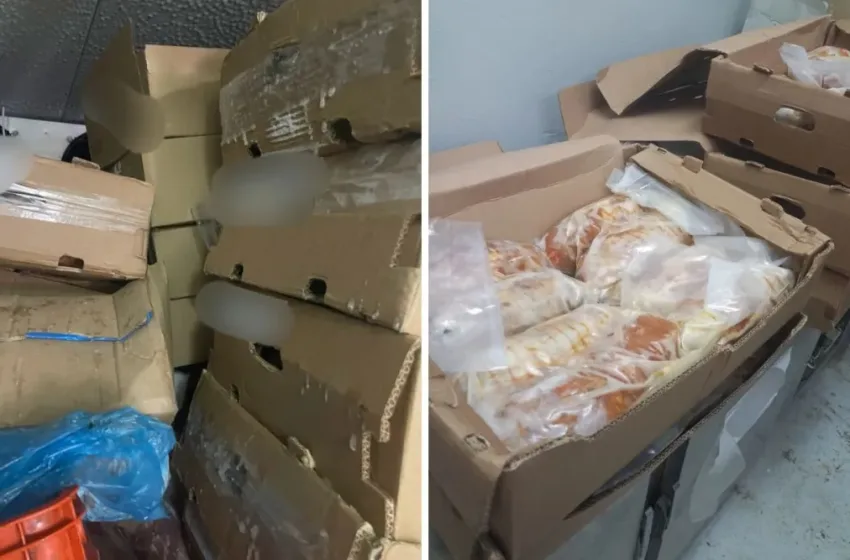  Περιφέρεια Αττικής: Κατασχέθηκαν 11 τόνοι ακατάλληλων κρεάτων ενόψει Πάσχα