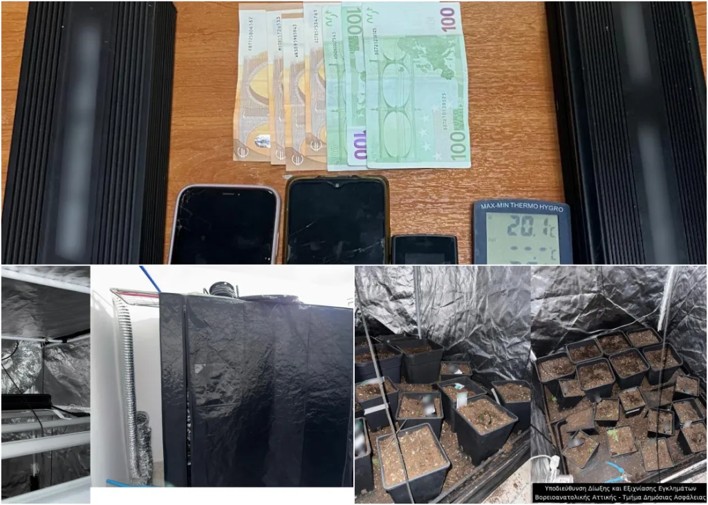 kleftes katastimata1