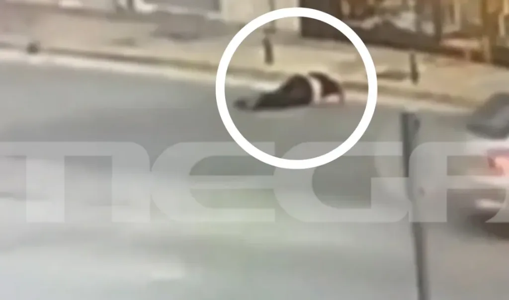 pallini ksylodarmos kosmimatopolis