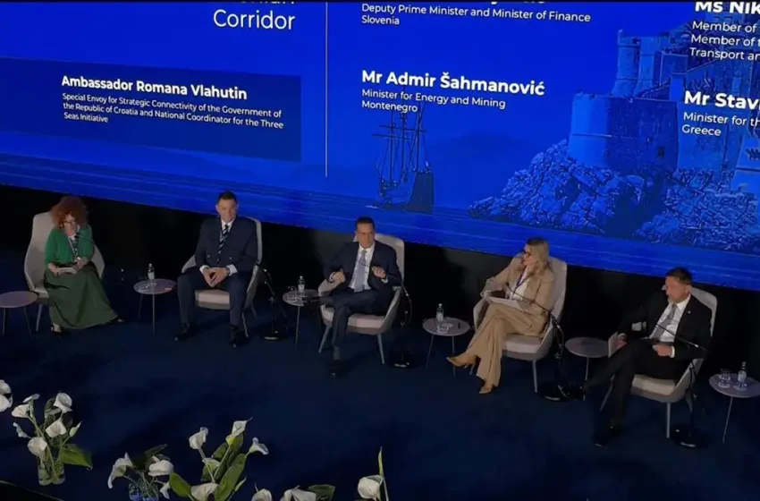  Παπασταύρου:Η Ελλάδα πρωταγωνιστεί στην ενεργειακή ασφάλεια ΝΑ Ευρώπης και Δ. Βαλκανίων