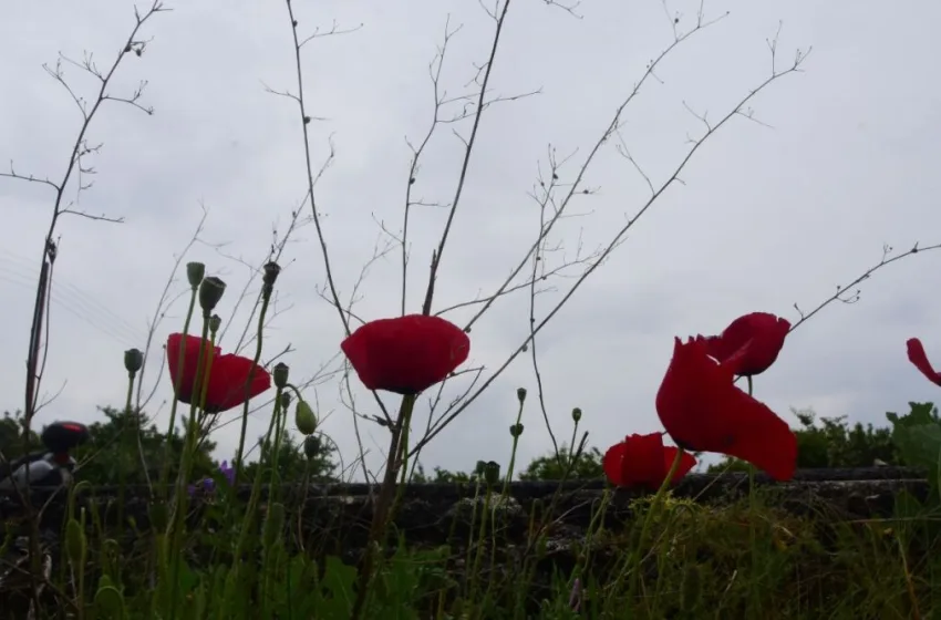  Ο Κολυδάς επιβεβαιώνει την “ψυχρή εισβολή” της πρωτομαγιάς- Η πρόγνωση