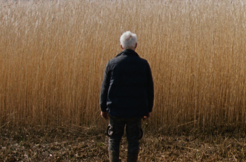  Νέες ταινίες: “The Drama”, ολλανδικό μυστήριο, Βιβάλντι και ελληνική περιπέτεια