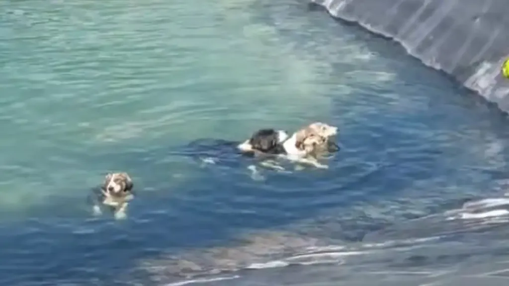 skylia katerinh 1200x675 1