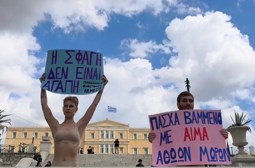  Σύνταγμα: Vegan  διαμαρτύρονται κατά της θανάτωσης αμνοεριφίων για το Πάσχα