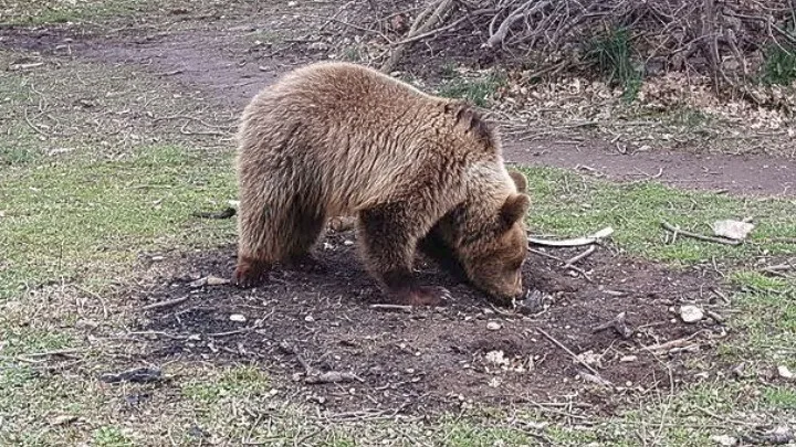 w10 122159w21130821w17152703w10171124w0895738