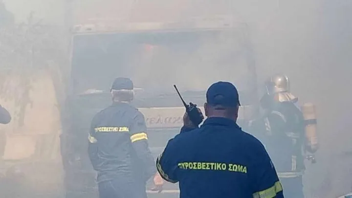 w14 85902FORTHGOPYRKAGIA