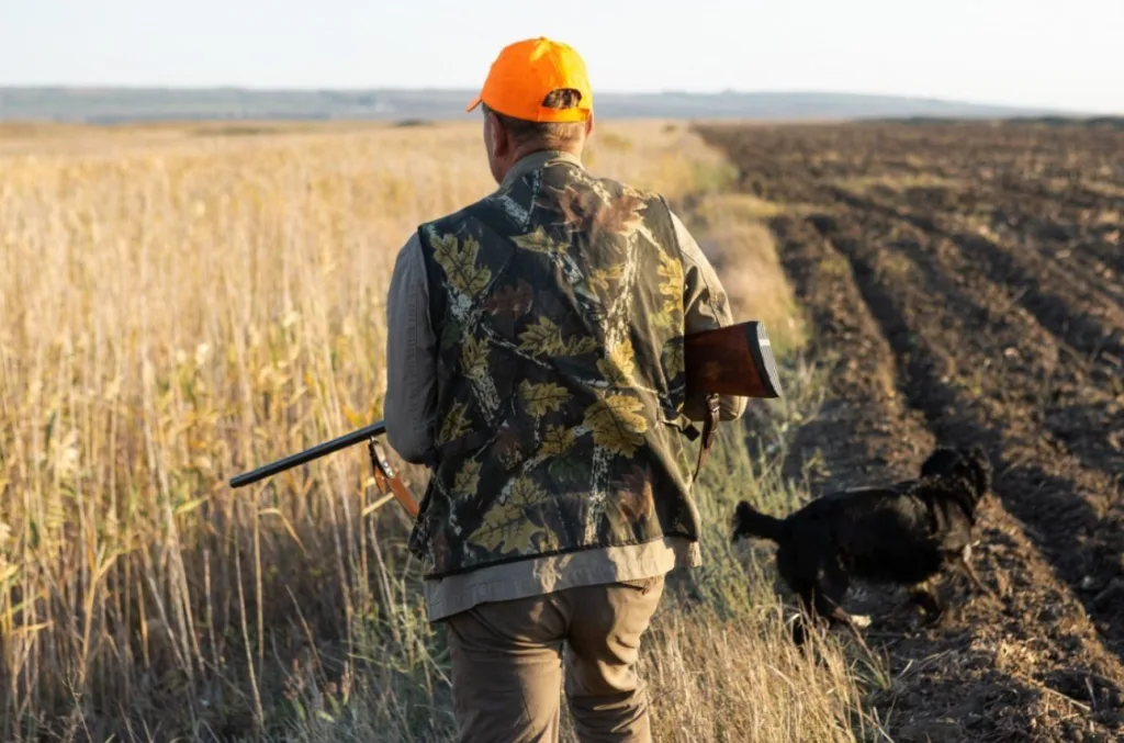 Στιγμιότυπο οθόνης 2026 04 01 170612